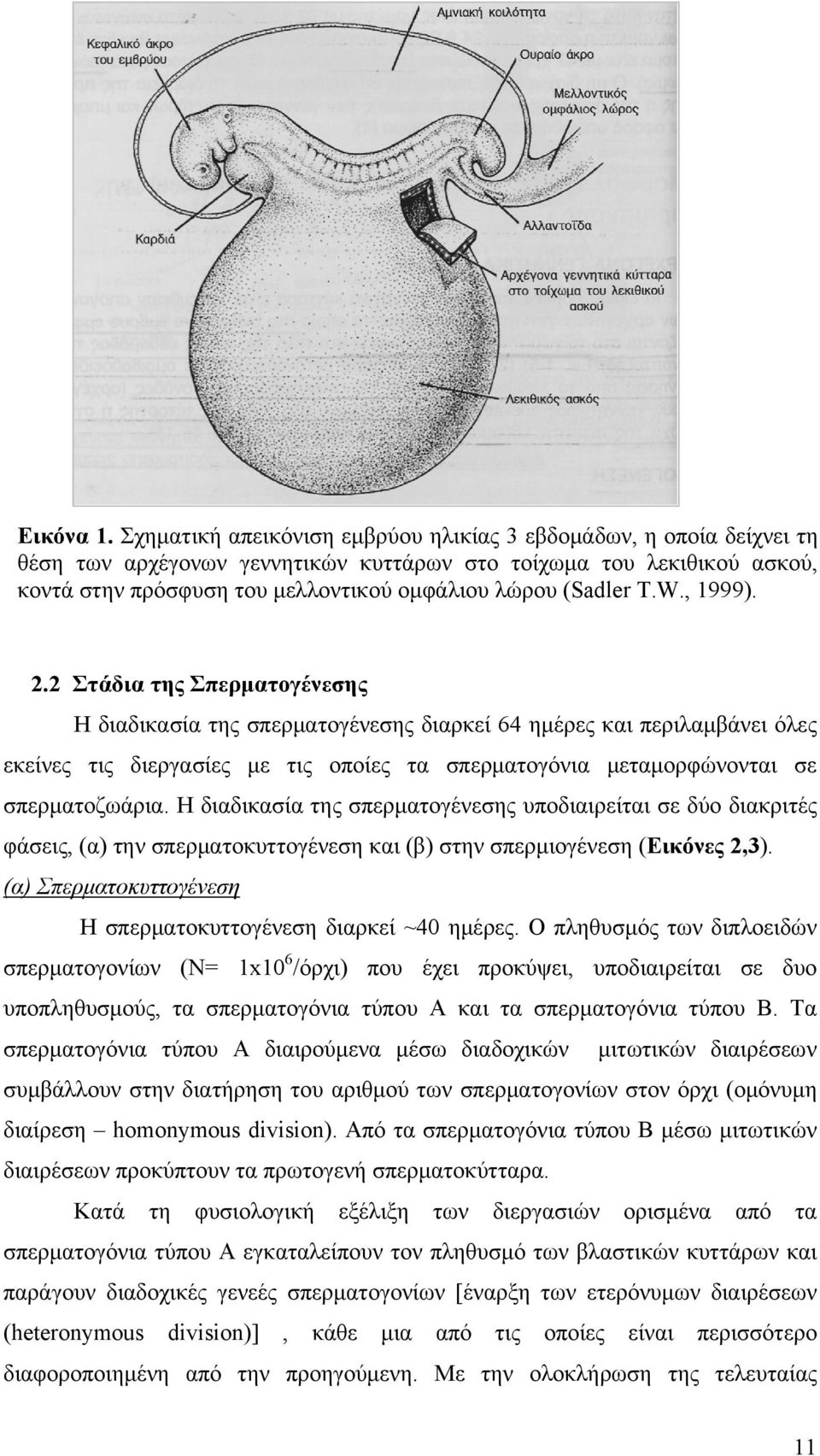 T.W., 1999). 2.