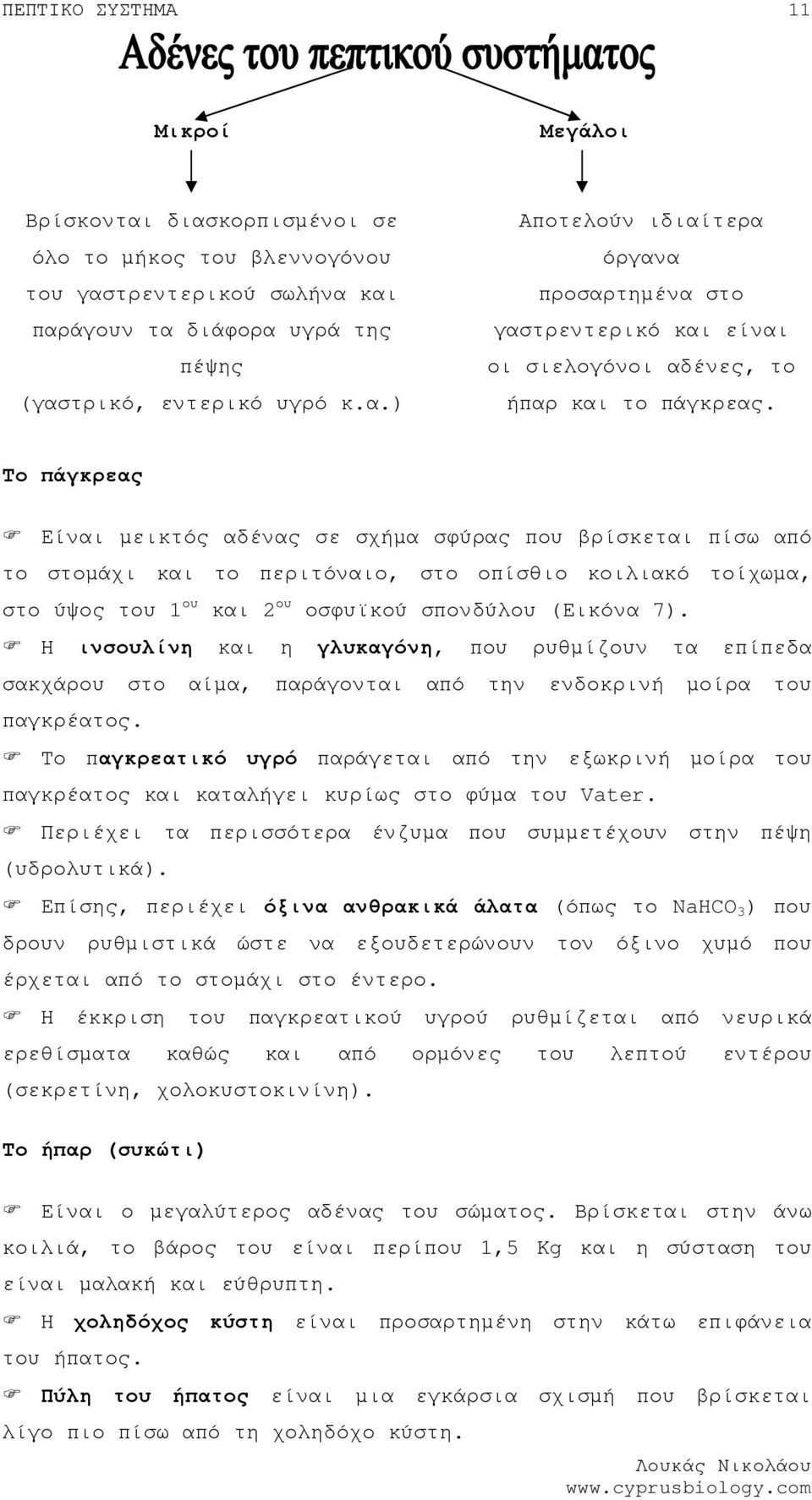 Η ινσουλίνη και η γλυκαγόνη, που ρυθµίζουν τα επίπεδα σακχάρου στο αίµα, παράγονται από την ενδοκρινή µοίρα του παγκρέατος.