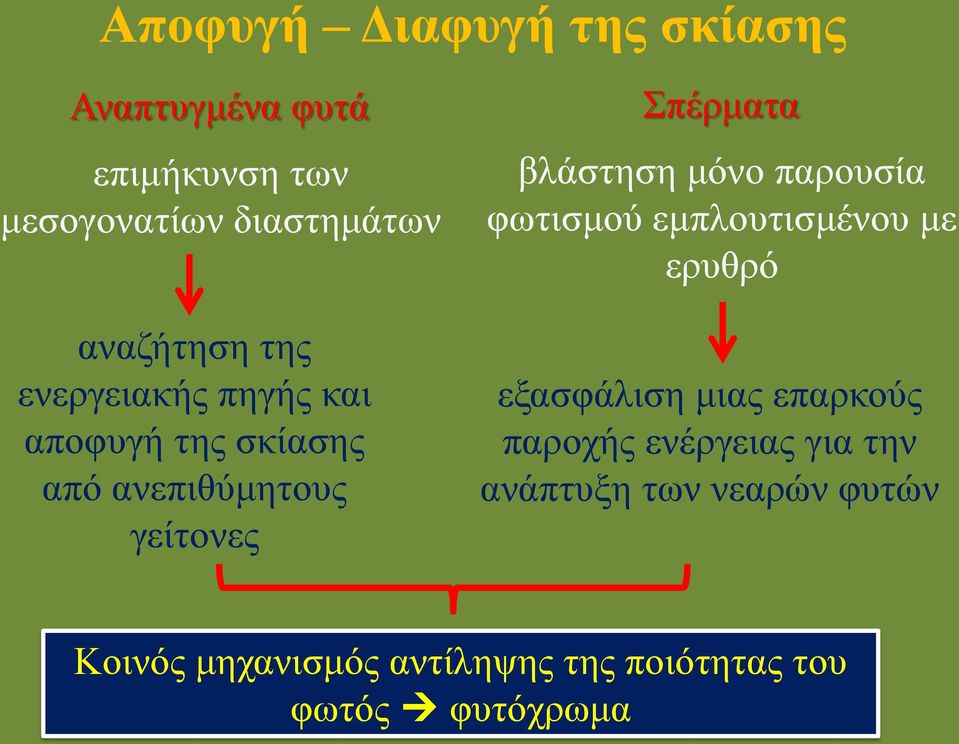 πηγής και αποφυγή της σκίασης από ανεπιθύμητους γείτονες εξασφάλιση μιας επαρκούς παροχής