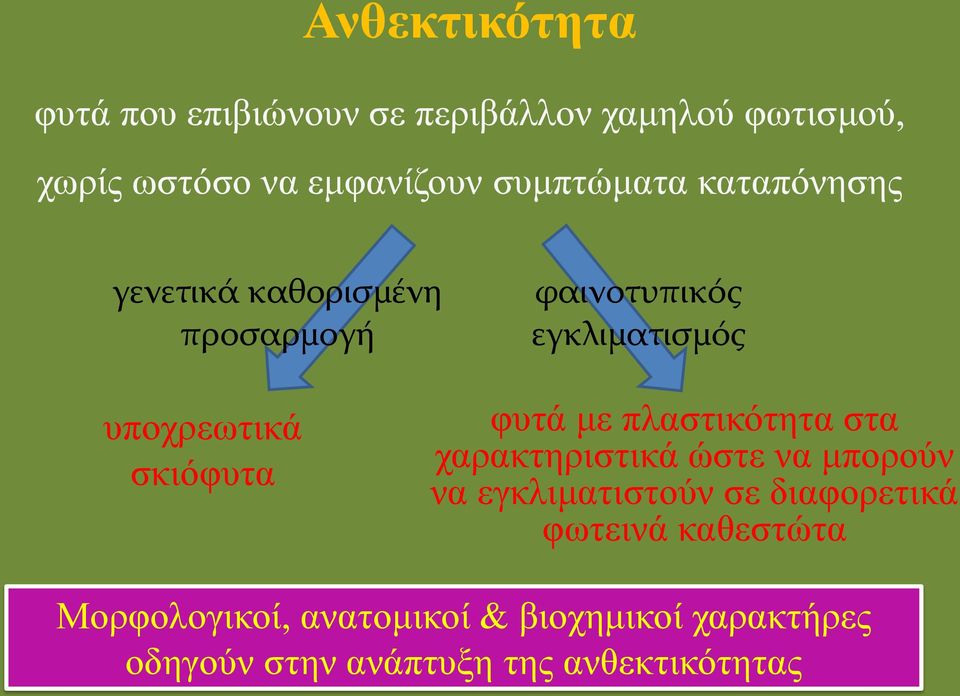 σκιόφυτα φυτά με πλαστικότητα στα χαρακτηριστικά ώστε να μπορούν να εγκλιματιστούν σε διαφορετικά