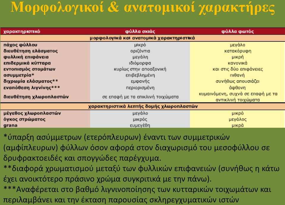 **διαφορά χρωματισμού μεταξύ των φυλλικών επιφανειών (συνήθως η κάτω έχει ανοικτότερο πράσινο χρώμα συγκριτικά με
