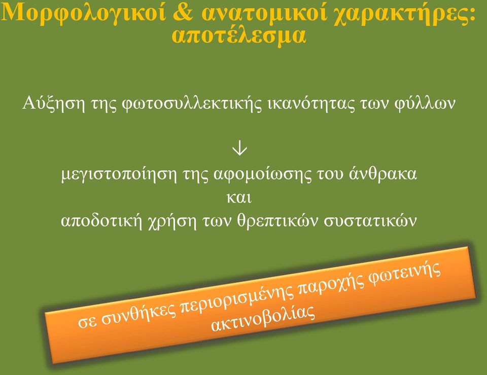 ικανότητας των φύλλων μεγιστοποίηση της