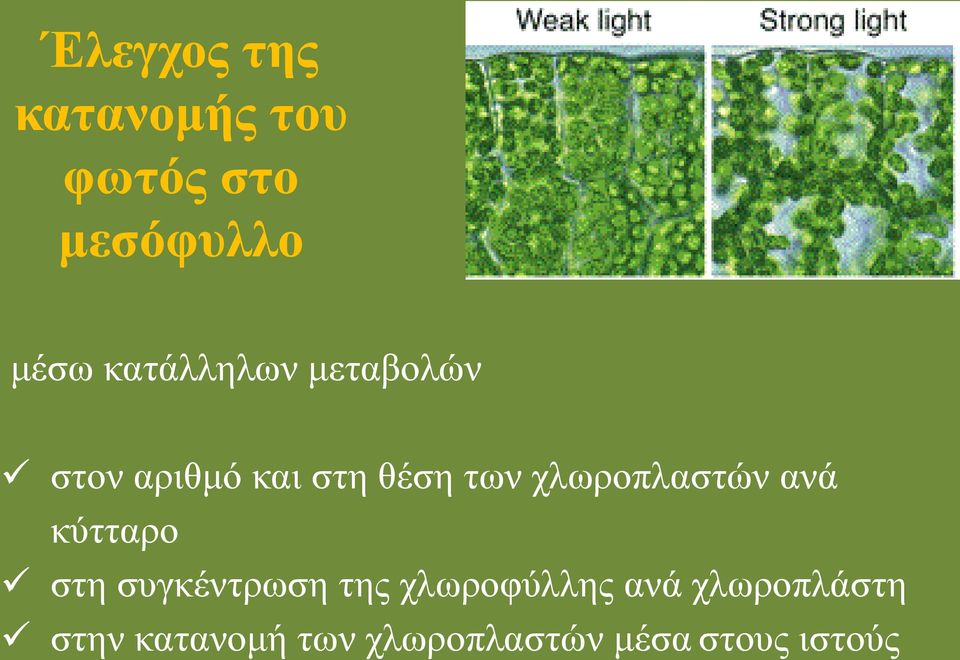 χλωροπλαστών ανά κύτταρο στη συγκέντρωση της