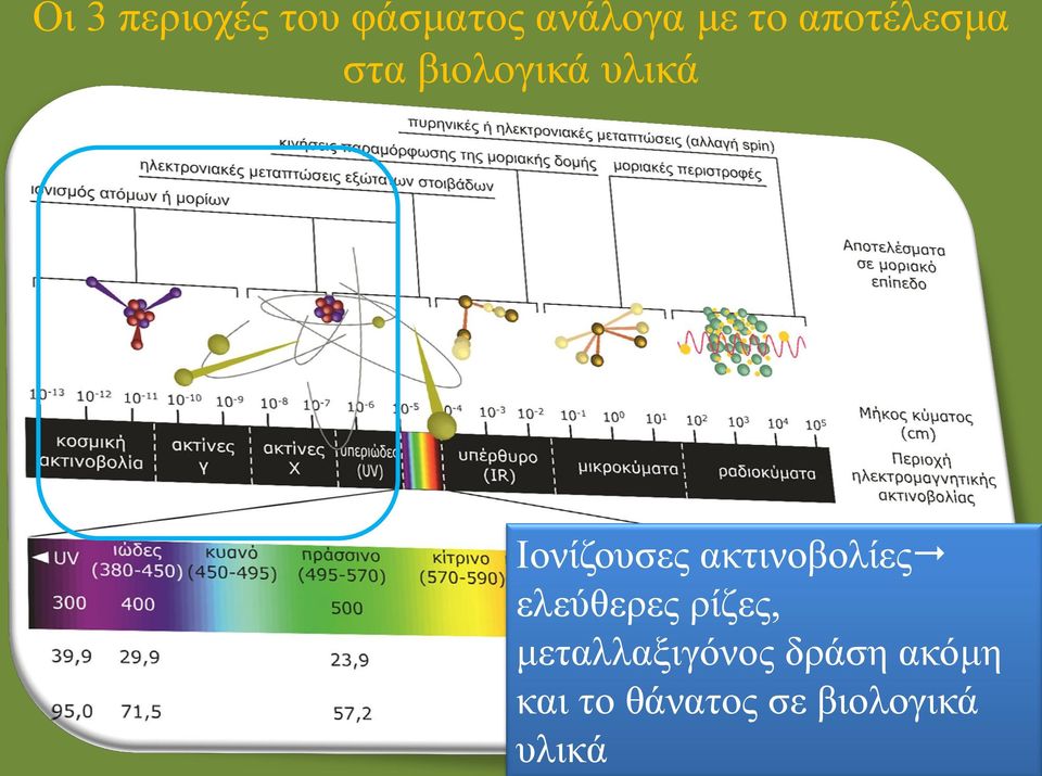 ακτινοβολίες ελεύθερες ρίζες,
