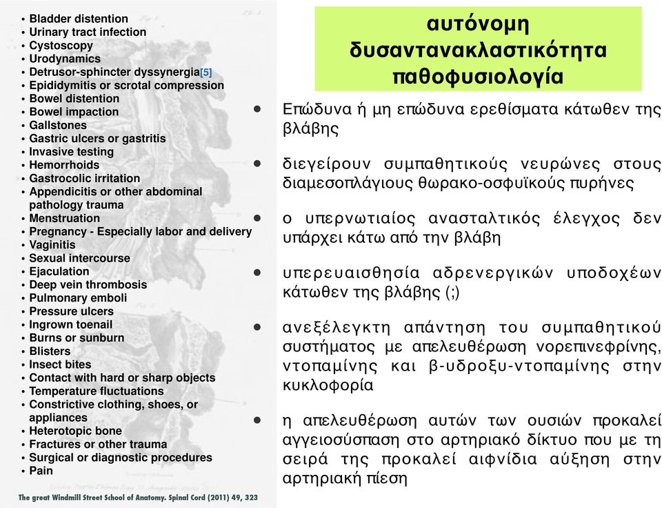 Ejaculation Deep vein thrombosis Pulmonary emboli Pressure ulcers Ingrown toenail Burns or sunburn Blisters Insect bites Contact with hard or sharp objects Temperature fluctuations Constrictive