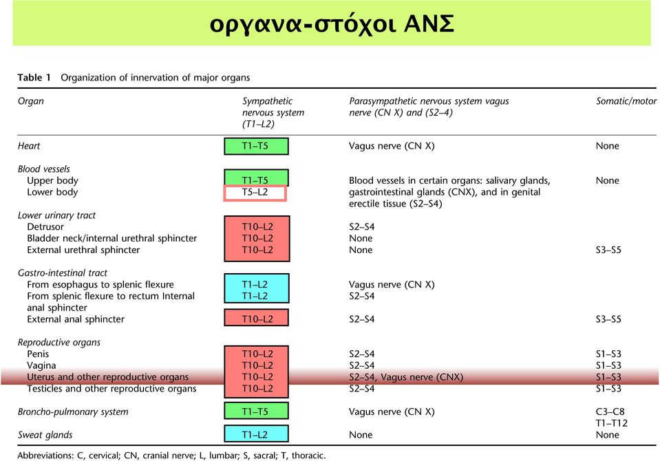 οργανα-στόχοι ΑΝΣ ability to breathe spontaneously, but manifest greater reductions in vital capacity and more severe restrictive impairment than persons with thoracolumbar injury.