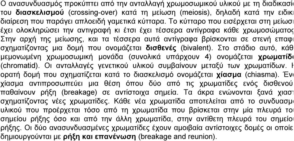 Το κύτταρο που εισέρχεται στη μείωση έχει ολοκληρώσει την αντιγραφή κι έτσι έχει τέσσερα αντίγραφα κάθε χρωμοσώματος Στην αρχή της μείωσης, και τα τέσσερα αυτά αντίγραφα βρίσκονται σε στενή επαφή