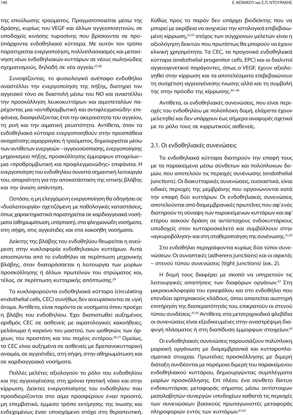 Με αυτόν τον τρόπο παρατηρείται ενεργοποίηση, πολλαπλασιασμός και μετακίνηση νέων ενδοθηλιακών κυττάρων σε νέους σωληνώδεις σχηματισμούς, δηλαδή σε νέα αγγεία.