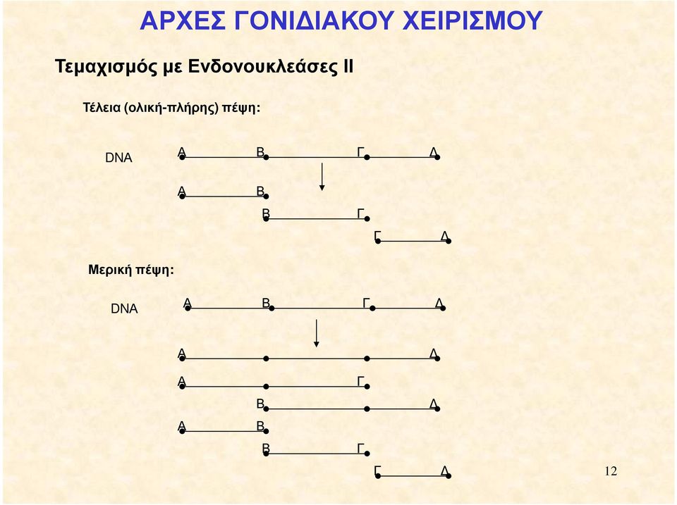 (ολική-πλήρης) πέψη: DNΑ Α Β Γ Α Β Β