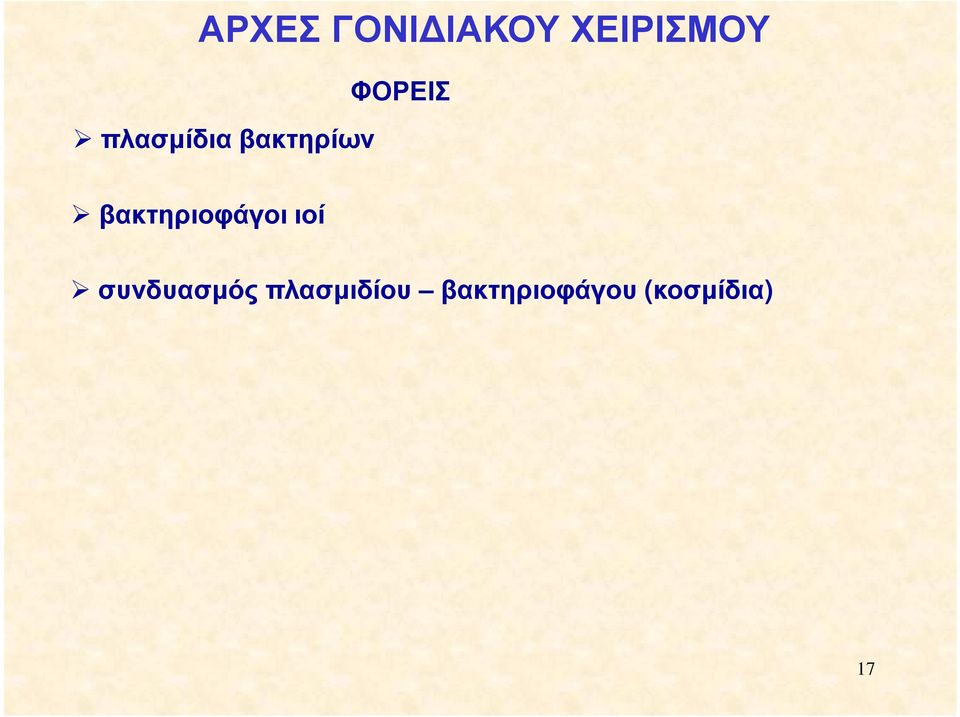 βακτηριοφάγοι ιοί συνδυασµός