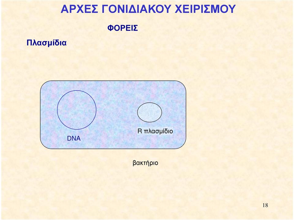 ΧΕΙΡΙΣΜΟΥ ΦΟΡΕΙΣ