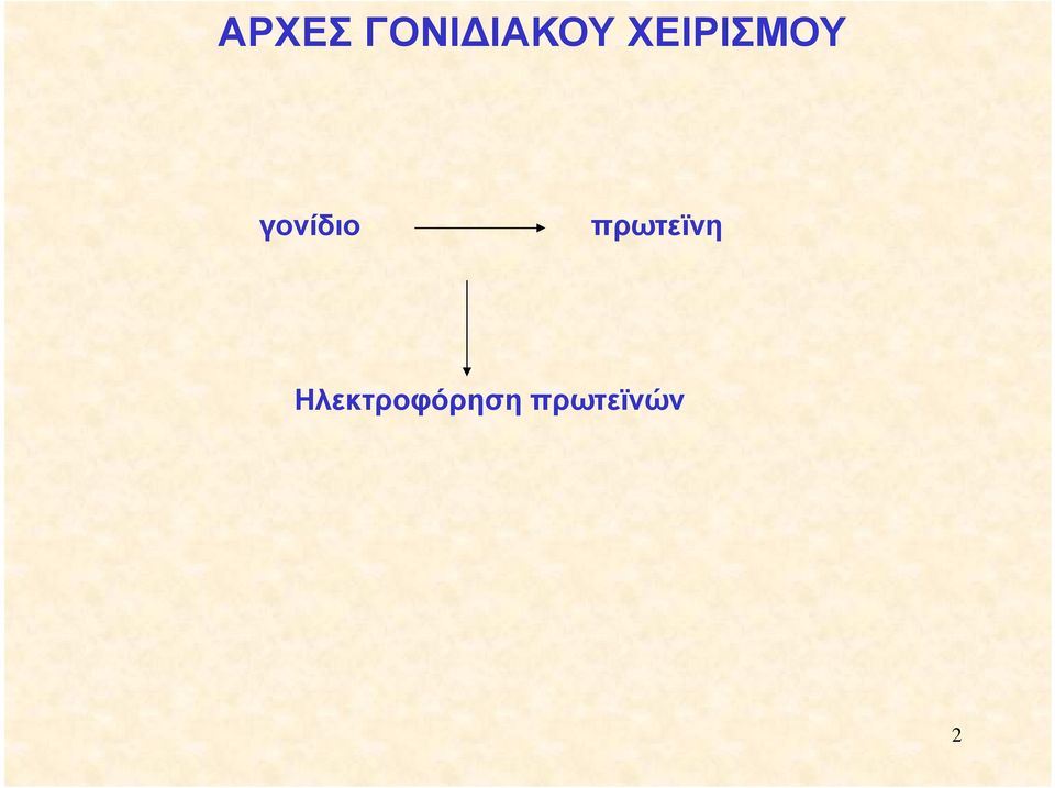 πρωτεϊνη