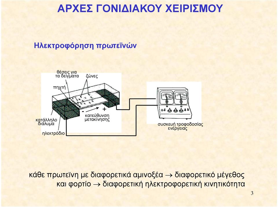 µετακίνησης συσκευή τροφοδοσίας ενέργειας κάθε πρωτεϊνη µε διαφορετικά