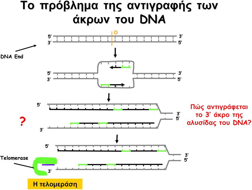 Πώς αντιγράφεται το άκρο της