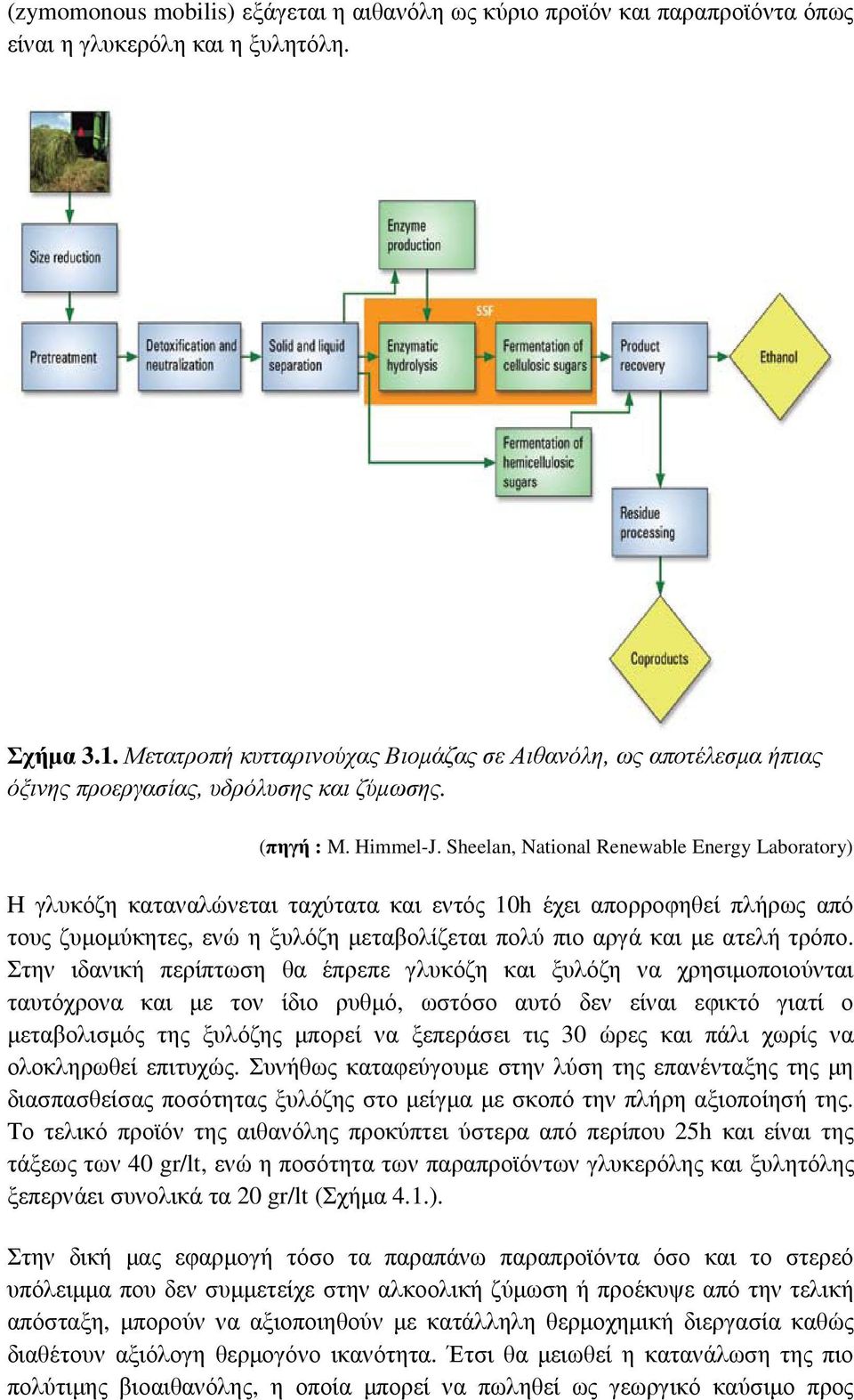 Sheelan, National Renewable Energy Laboratory) Η γλυκόζη καταναλώνεται ταχύτατα και εντός 10h έχει απορροφηθεί πλήρως από τους ζυµοµύκητες, ενώ η ξυλόζη µεταβολίζεται πολύ πιο αργά και µε ατελή τρόπο.