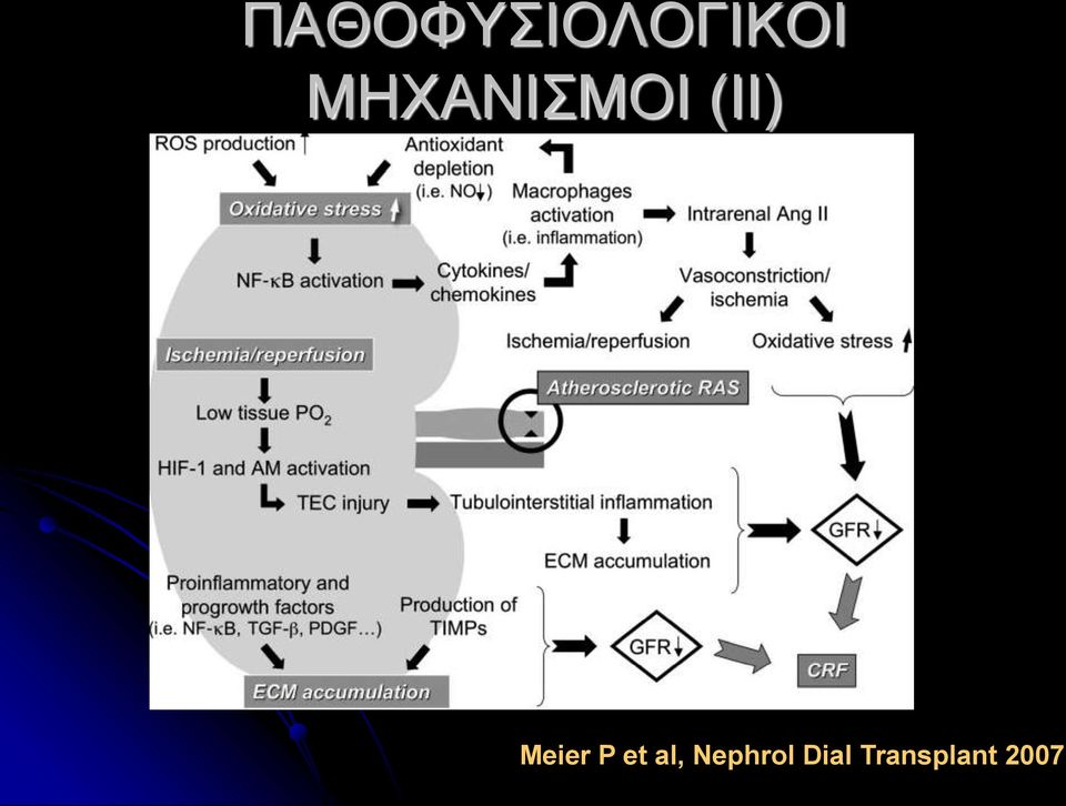 Meier P et al,