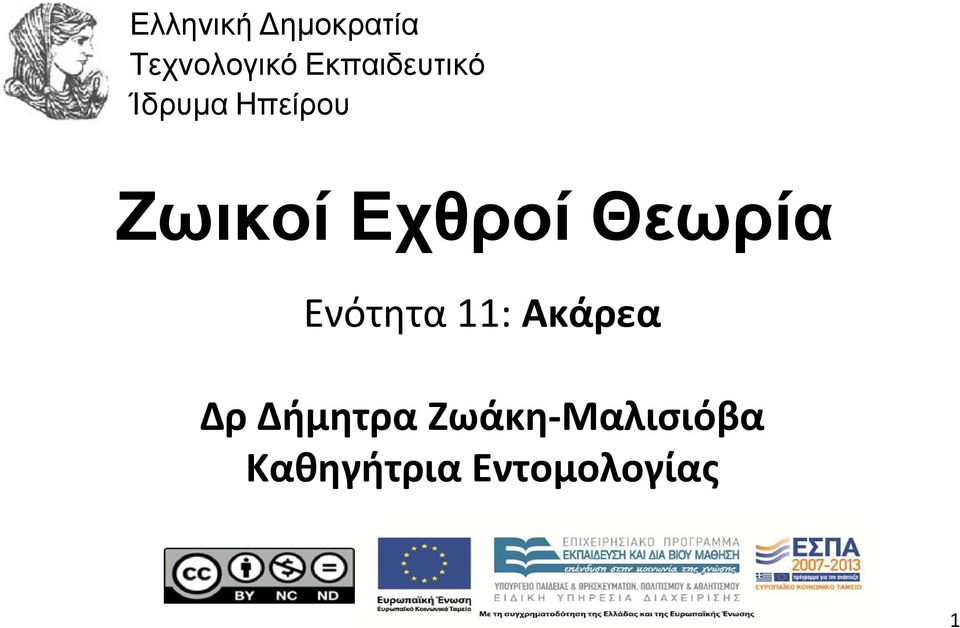 Εχθροί Θεωρία Ενότητα 11: Ακάρεα Δρ