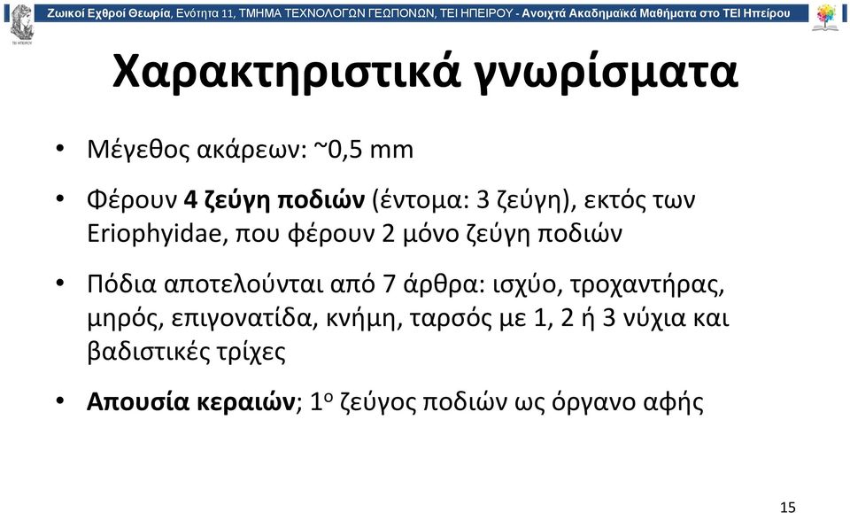 αποτελούνται από 7 άρθρα: ισχύο, τροχαντήρας, μηρός, επιγονατίδα, κνήμη, ταρσός