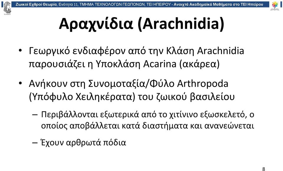 Χειληκέρατα) του ζωικού βασιλείου Περιβάλλονται εξωτερικά από το χιτίνινο