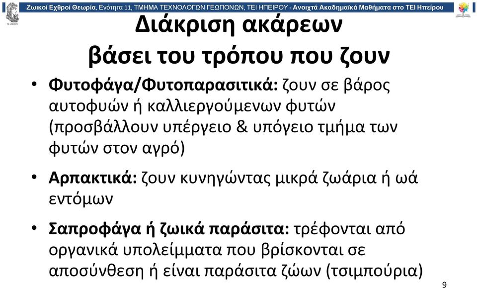 αγρό) Αρπακτικά: ζουν κυνηγώντας μικρά ζωάρια ή ωά εντόμων Σαπροφάγαήζωικάπαράσιτα: