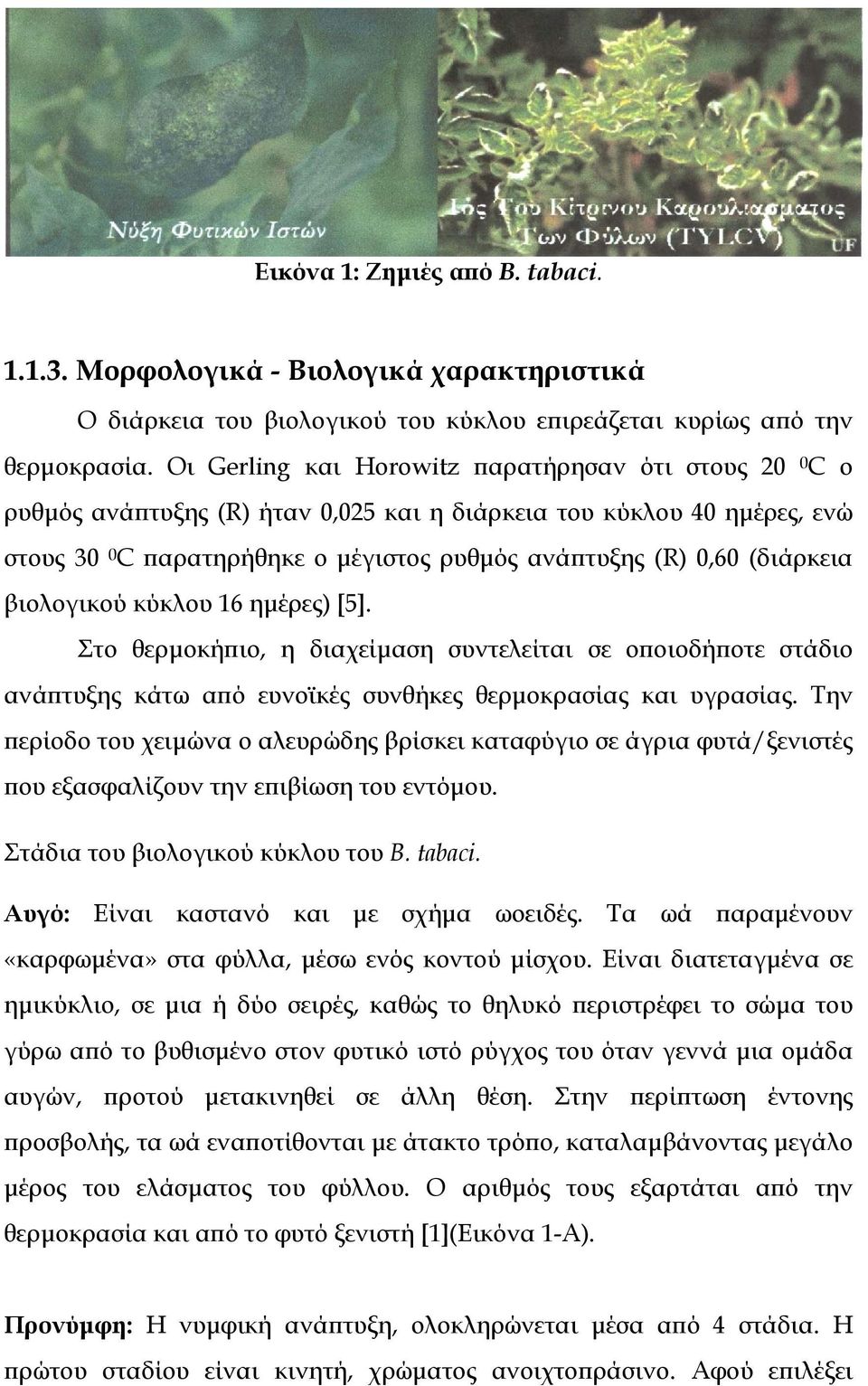 (διάρκεια βιολογικού κύκλου 16 ηµέρες) [5]. Στο θερµοκήπιο, η διαχείµαση συντελείται σε οποιοδήποτε στάδιο ανάπτυξης κάτω από ευνοϊκές συνθήκες θερµοκρασίας και υγρασίας.