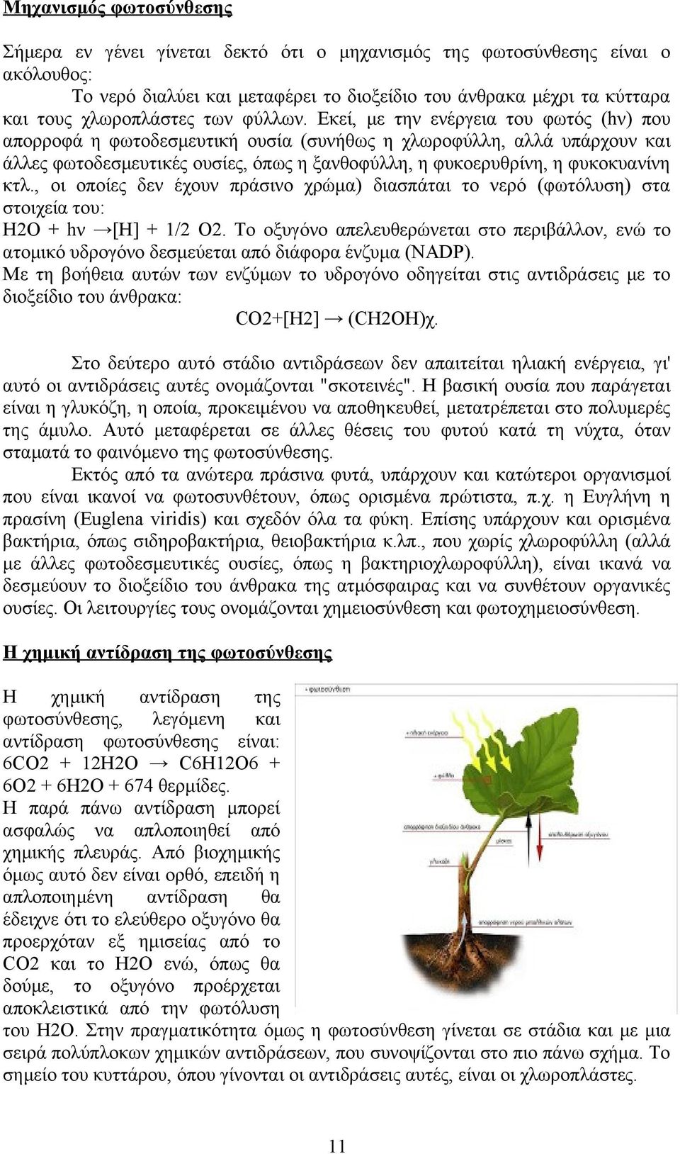 Εκεί, με την ενέργεια του φωτός (hν) που απορροφά η φωτοδεσμευτική ουσία (συνήθως η χλωροφύλλη, αλλά υπάρχουν και άλλες φωτοδεσμευτικές ουσίες, όπως η ξανθοφύλλη, η φυκοερυθρίνη, η φυκοκυανίνη κτλ.