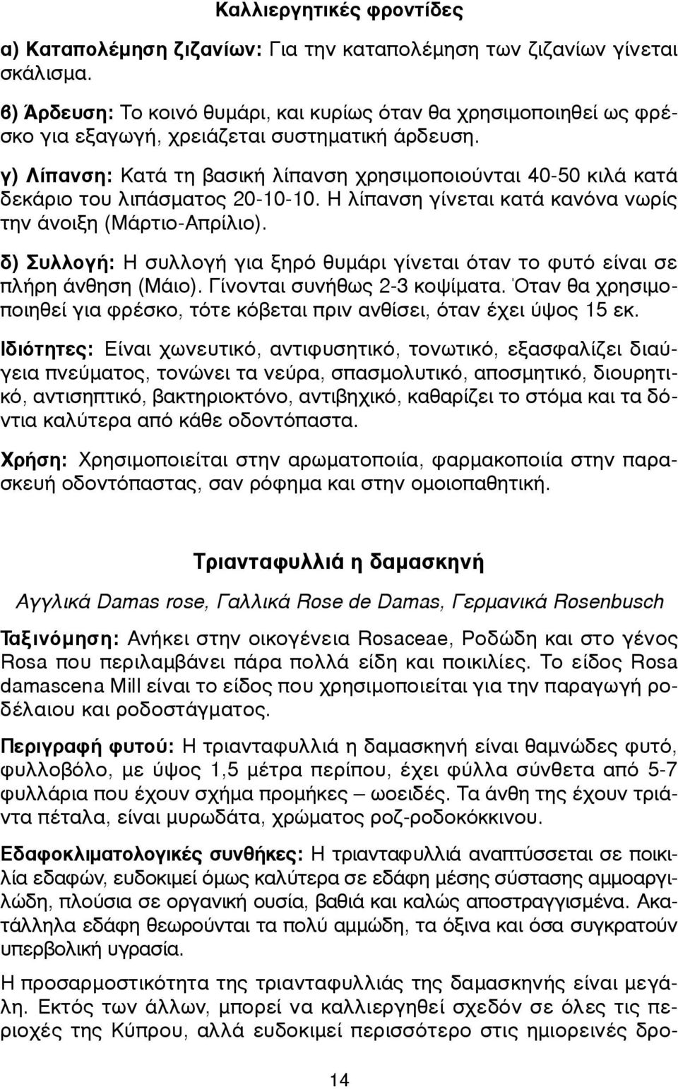 γ) Λίπανση: Κατά τη βασική λίπανση χρησιµοποιούνται 40-50 κιλά κατά δεκάριο του λιπάσµατος 20-10-10. Η λίπανση γίνεται κατά κανόνα νωρίς την άνοιξη (Μάρτιο-Απρίλιο).