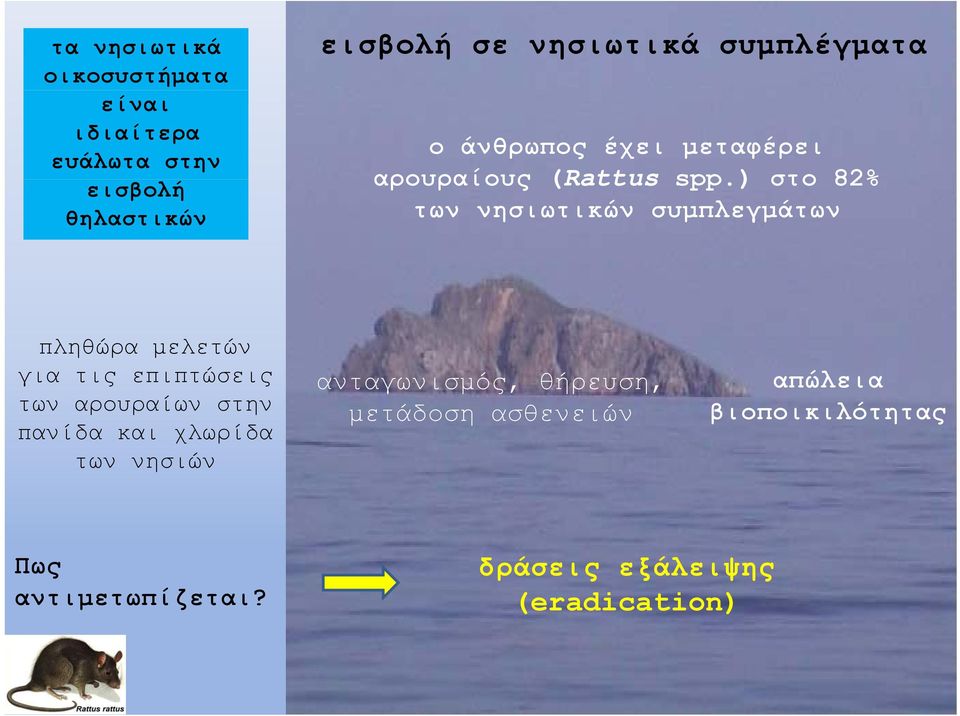 ) στο 82% των νησιωτικών συμπλεγμάτων πληθώρα μελετών για τις επιπτώσεις των αρουραίων στην πανίδα