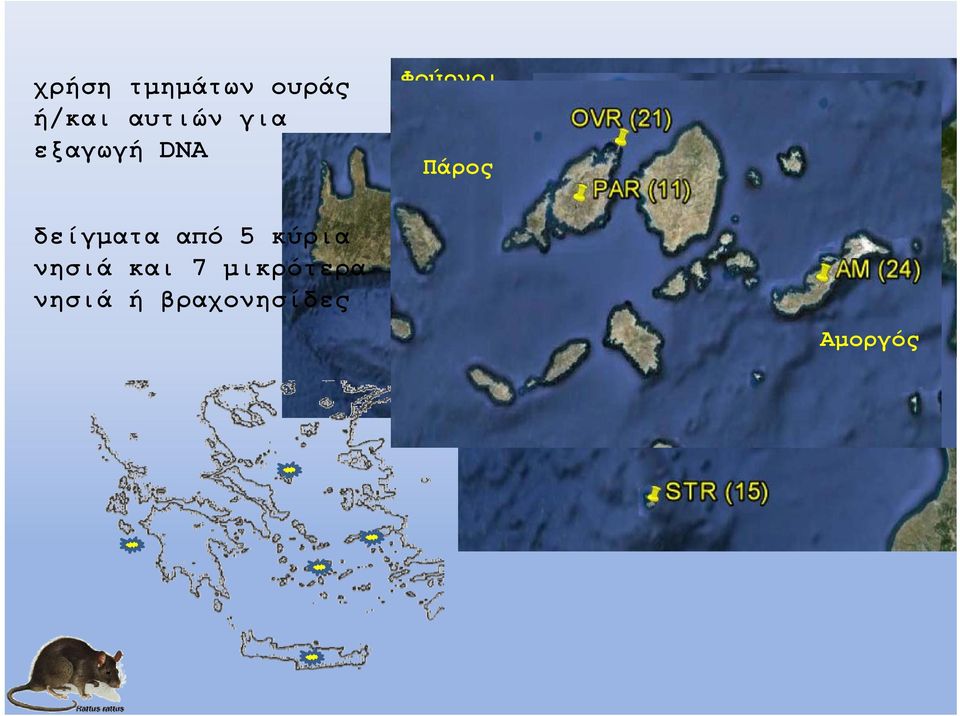 δείγματα από 5 κύρια νησιά και 7