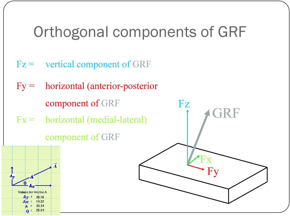 (anterior-posterior Fx = component of GRF