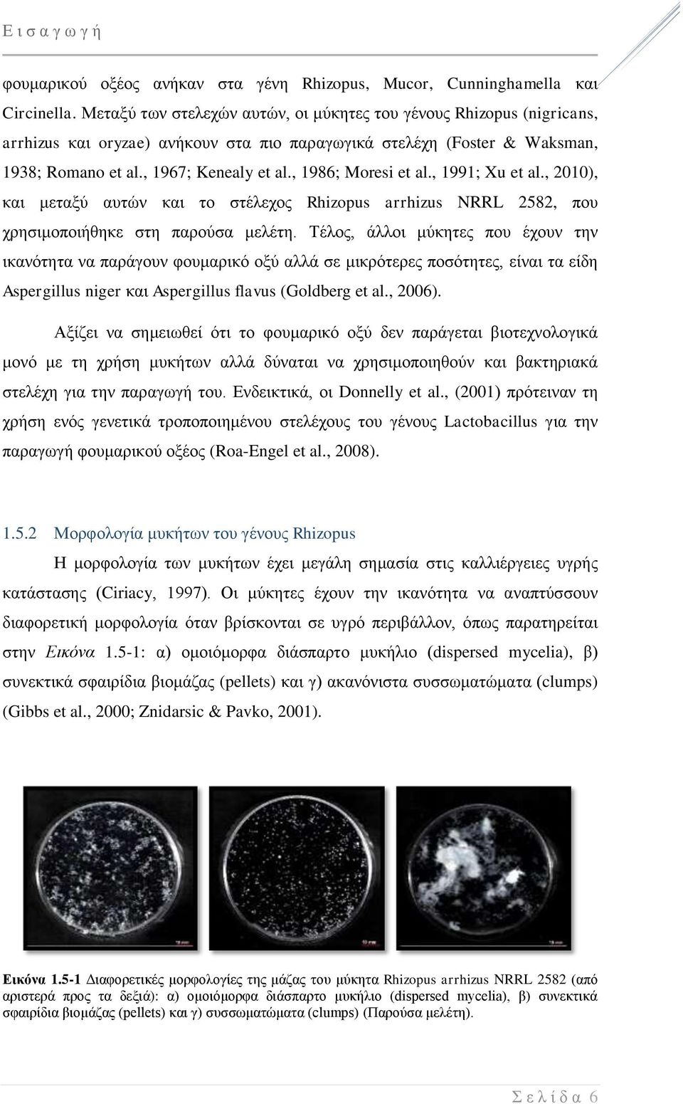 , 1986; Moresi et al., 1991; Xu et al., 2010), και μεταξύ αυτών και το στέλεχος Rhizopus arrhizus NRRL 2582, που χρησιμοποιήθηκε στη παρούσα μελέτη.