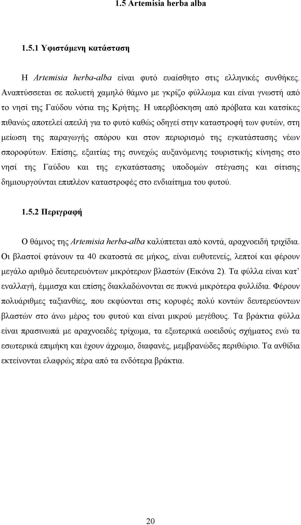 Η υπερβόσκηση από πρόβατα και κατσίκες πιθανώς αποτελεί απειλή για το φυτό καθώς οδηγεί στην καταστροφή των φυτών, στη μείωση της παραγωγής σπόρου και στον περιορισμό της εγκατάστασης νέων σποροφύτων.