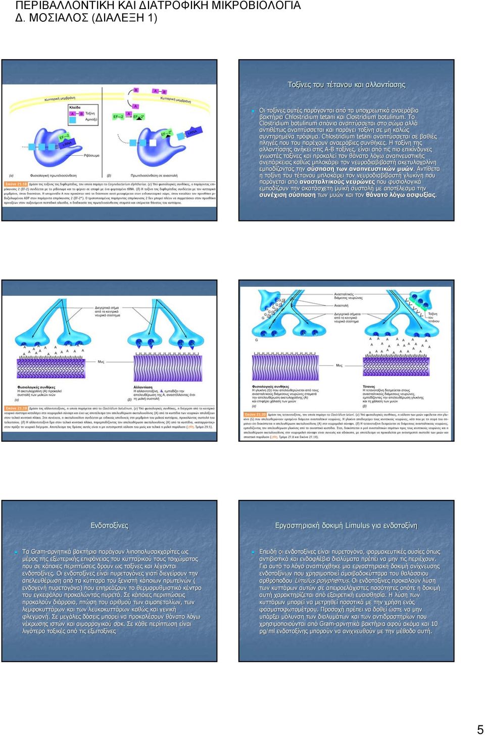 Chlostridium tetani αναπτύσσεται σε βαθιές πληγές που του παρέχουν αναερόβιες συνθήκες.