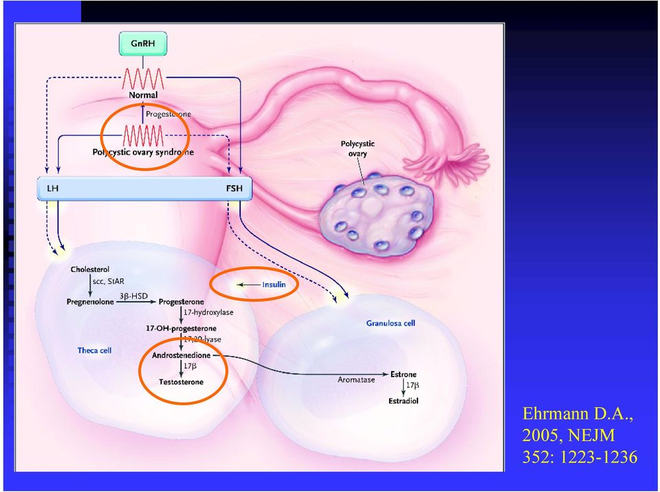 NEJM 352: