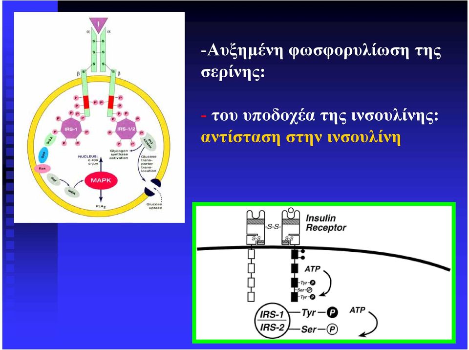 υποδοχέα της