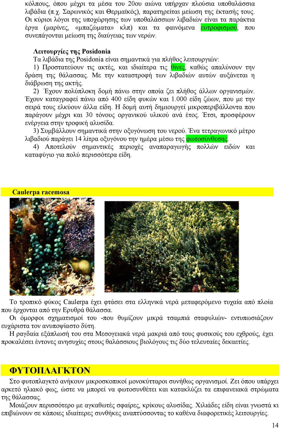 Λειτουργίες της Posidonia Τα λιβάδια της Posidonia είναι σηµαντικά για πλήθος λειτουργιών: 1) Προστατεύουν τις ακτές, και ιδιαίτερα τις θίνες, καθώς απαλύνουν την δράση της θάλασσας.