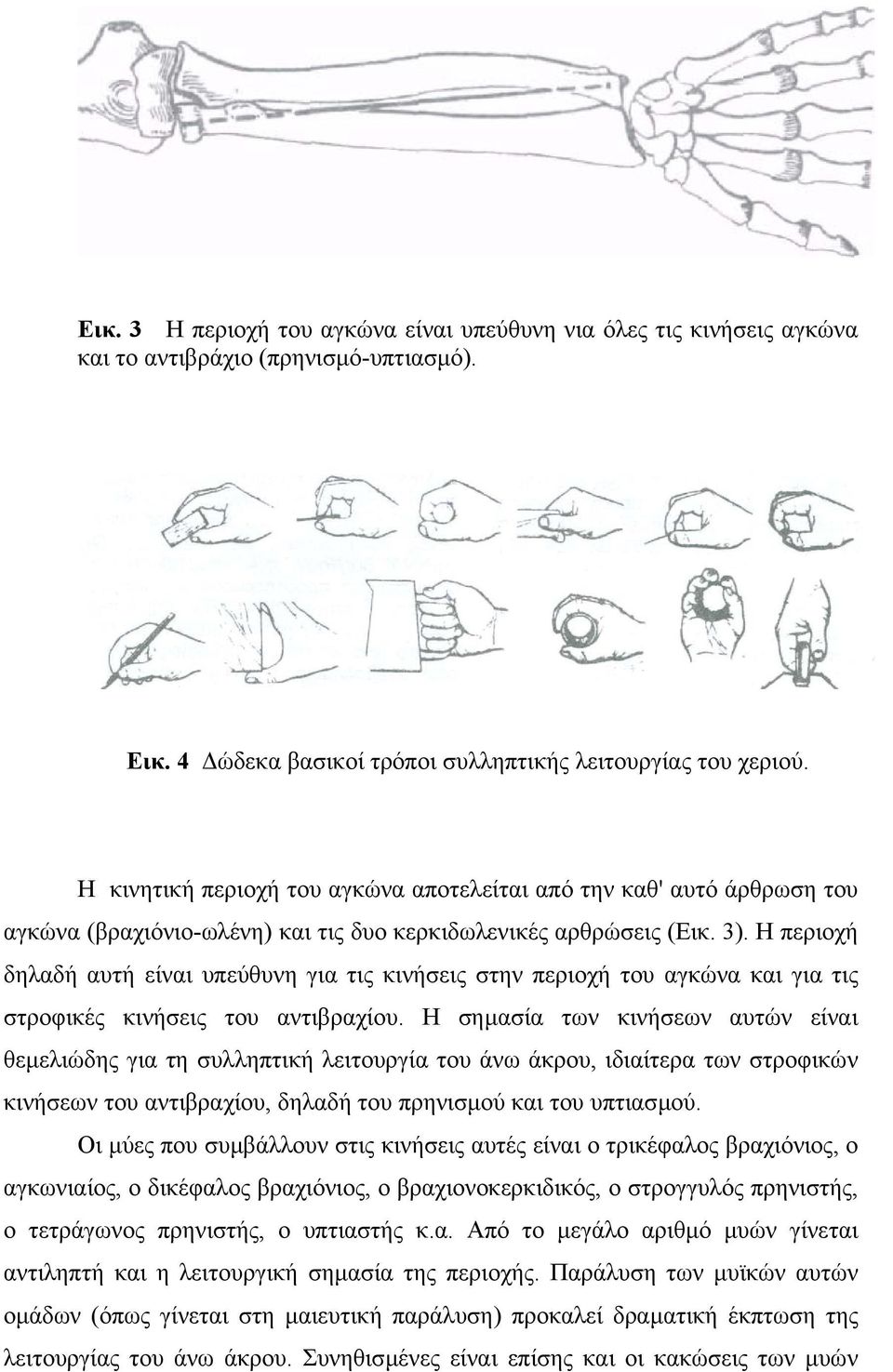 Η περιοχή δηλαδή αυτή είναι υπεύθυνη για τις κινήσεις στην περιοχή του αγκώνα και για τις στροφικές κινήσεις του αντιβραχίου.