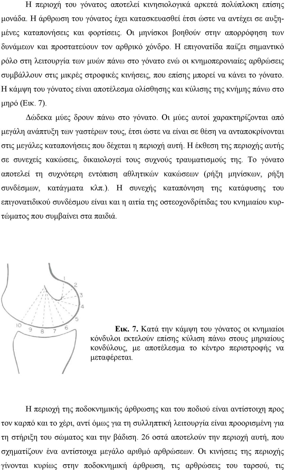 Η επιγονατίδα παίζει σηµαντικό ρόλο στη λειτουργία των µυών πάνω στο γόνατο ενώ οι κνηµοπερονιαίες αρθρώσεις συµβάλλουν στις µικρές στροφικές κινήσεις, που επίσης µπορεί να κάνει το γόνατο.