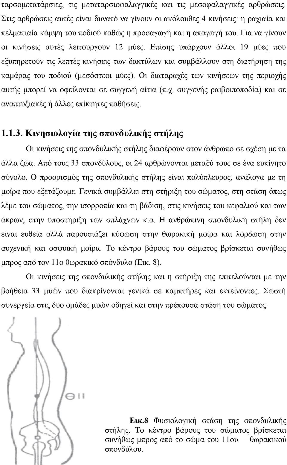 Επίσης υπάρχουν άλλοι 19 µύες που εξυπηρετούν τις λεπτές κινήσεις των δακτύλων και συµβάλλουν στη διατήρηση της καµάρας του ποδιού (µεσόστεοι µύες).