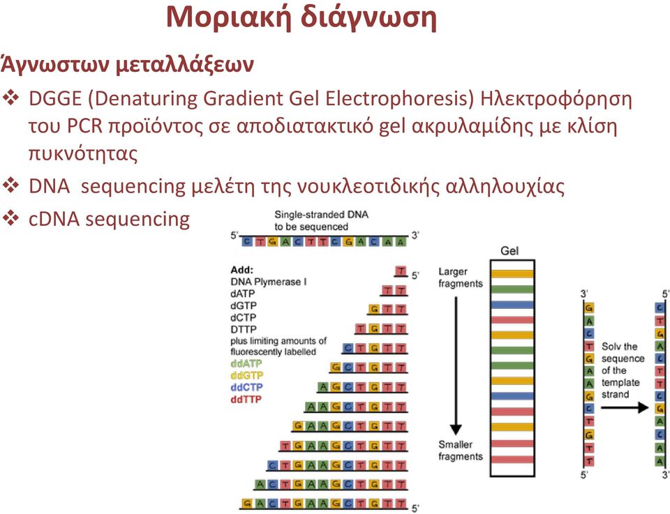 αποδιατακτικό gel ακρυλαμίδης με κλίση πυκνότητας DNA