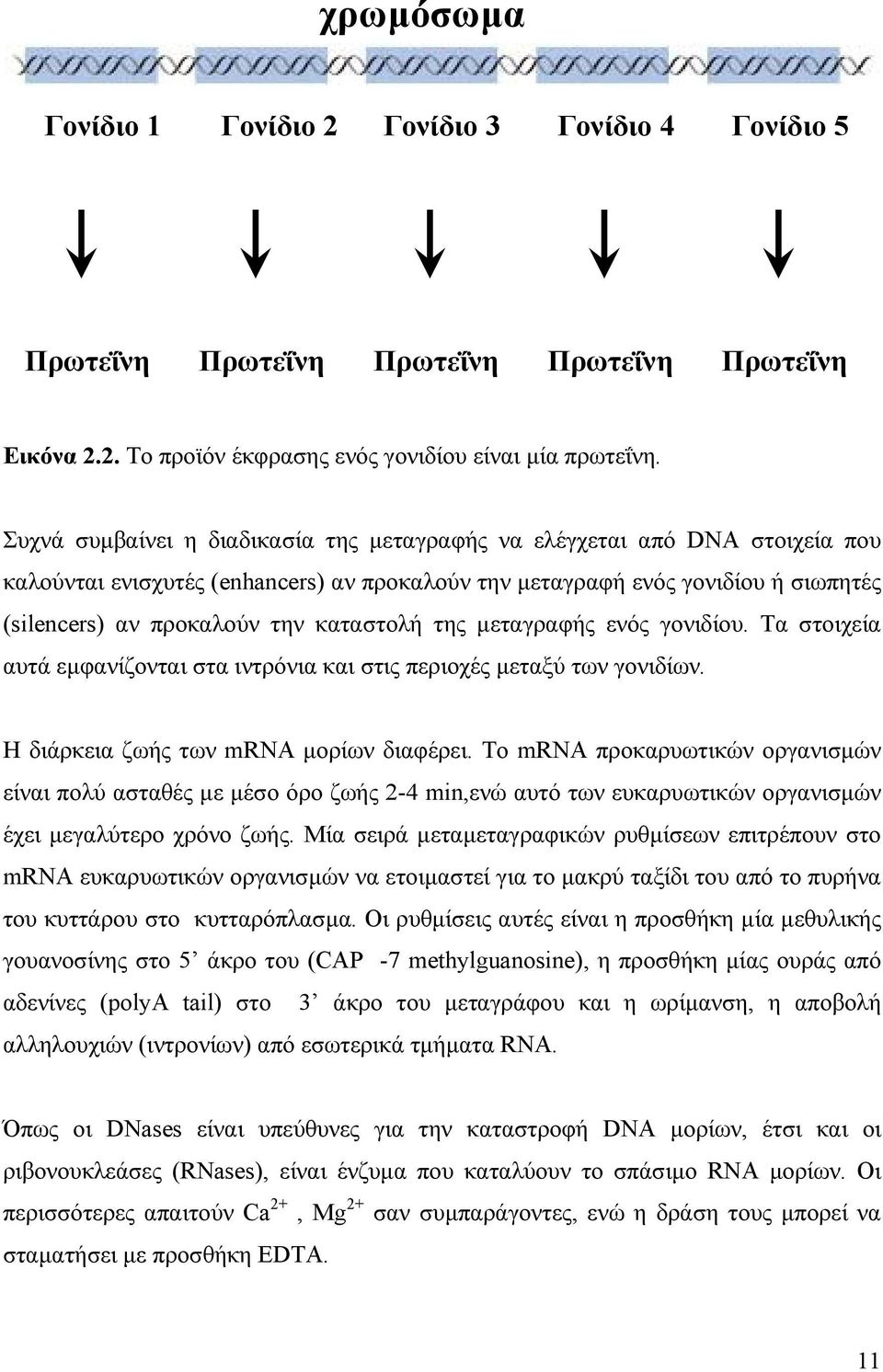 καταστολή της µεταγραφής ενός γονιδίου. Τα στοιχεία αυτά εµφανίζονται στα ιντρόνια και στις περιοχές µεταξύ των γονιδίων. Η διάρκεια ζωής των mrna µορίων διαφέρει.