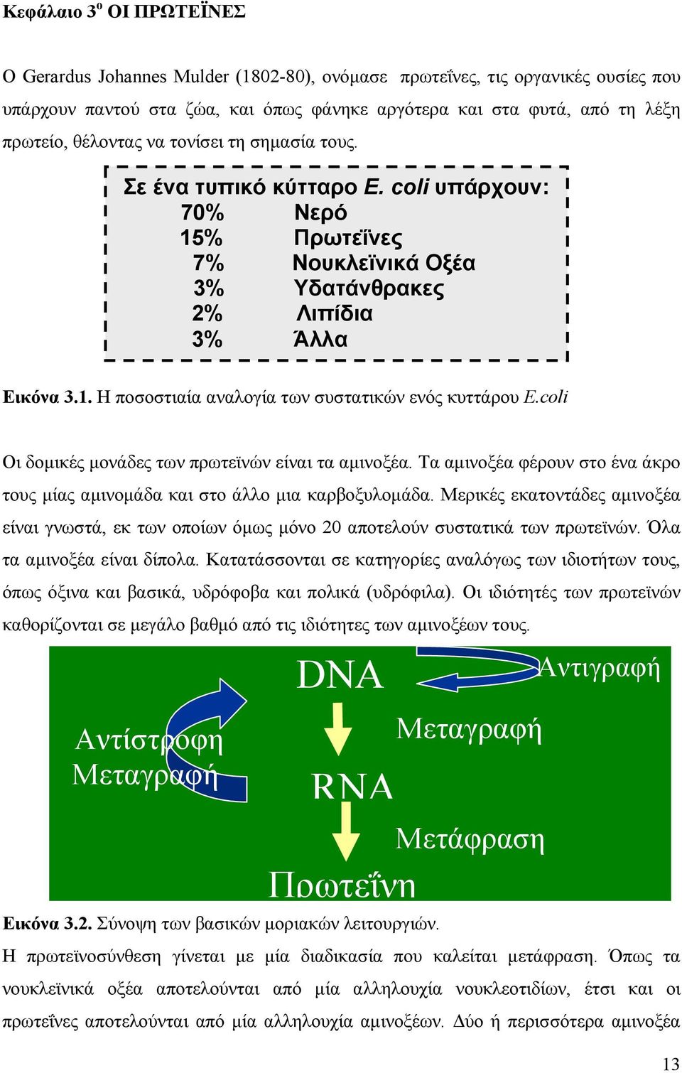 coli Οι δοµικές µονάδες των πρωτεϊνών είναι τα αµινοξέα. Τα αµινοξέα φέρουν στο ένα άκρο τους µίας αµινοµάδα και στο άλλο µια καρβοξυλοµάδα.