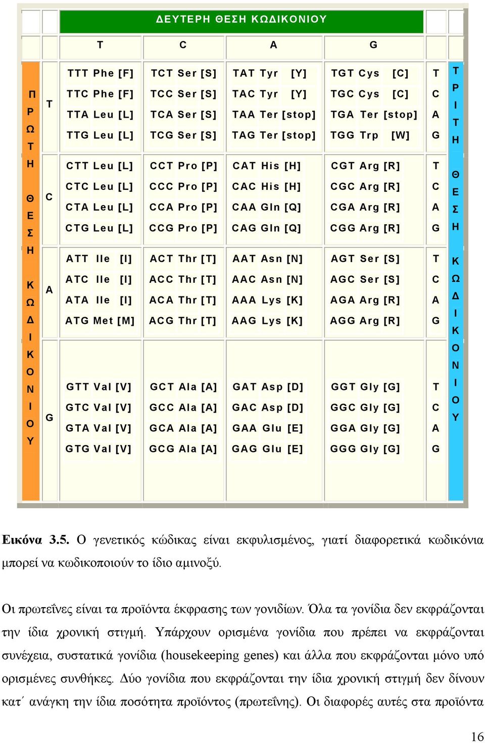 [Q] CAG Gln [Q] CGT Arg [R] CGC Arg [R] CGA Arg [R] CGG Arg [R] T C A G Θ Ε Σ Η Η ATT Ile [I] ACT Thr [T] AAT Asn [N] AGT Ser [S] T Κ Κ Ω Ι Κ Ο Ν Ι Ο Υ A G ATC Ile [I] ATA Ile [I] ATG Met [M] GTT Val