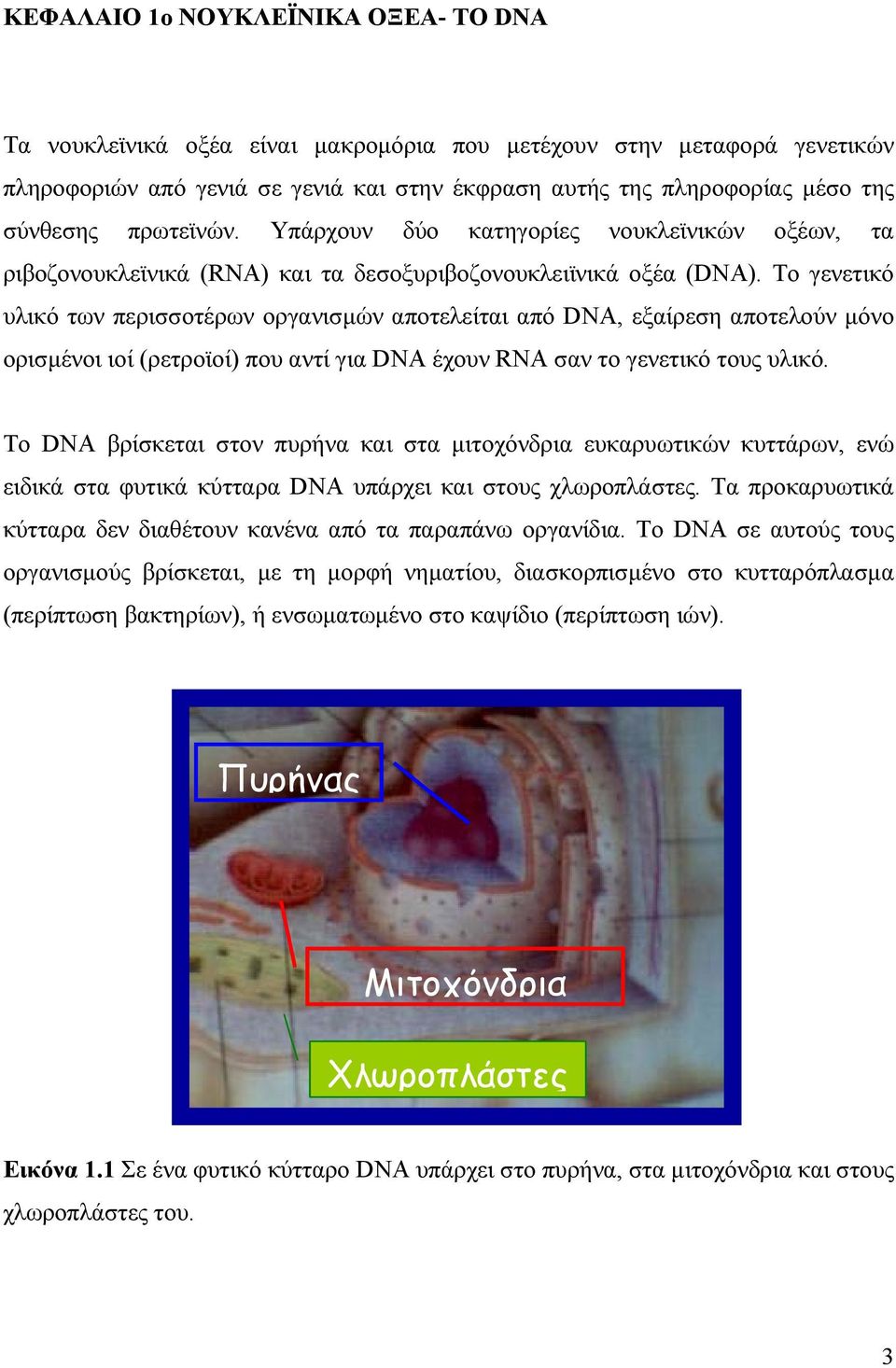 Το γενετικό υλικό των περισσοτέρων οργανισµών αποτελείται από DNA, εξαίρεση αποτελούν µόνο ορισµένοι ιοί (ρετροϊοί) που αντί για DNA έχουν RNA σαν το γενετικό τους υλικό.