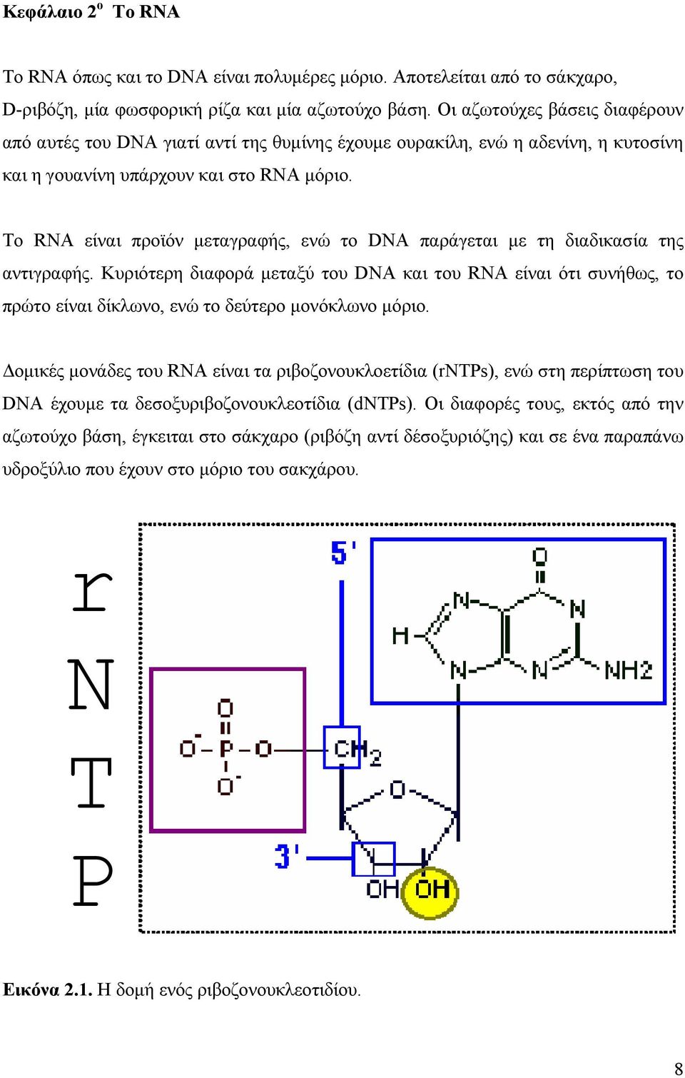 Το RNA είναι προϊόν µεταγραφής, ενώ το DNA παράγεται µε τη διαδικασία της αντιγραφής.