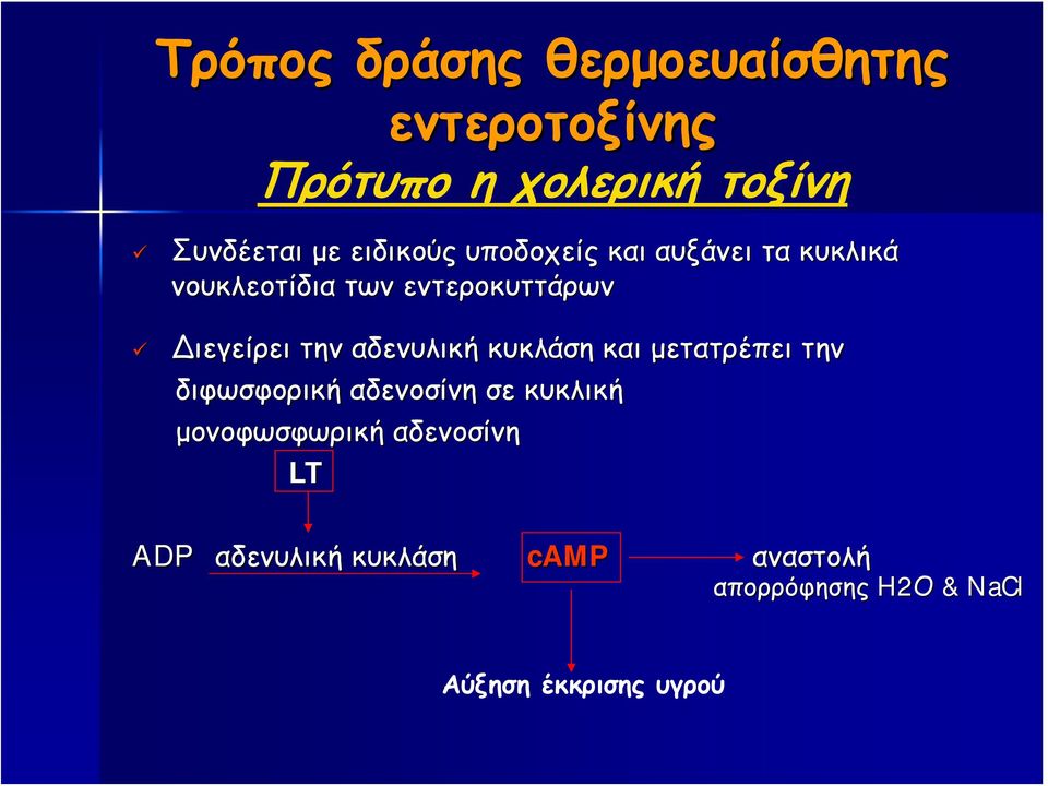 αδενυλική κυκλάση και μετατρέπει την διφωσφορική αδενοσίνη σε κυκλική μονοφωσφωρική
