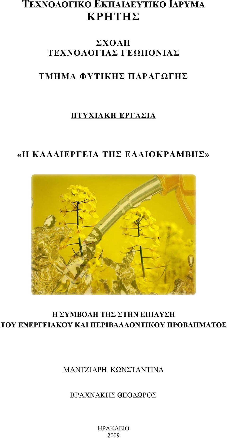 ΕΛΑΙΟΚΡΑΜΒΗΣ» Η ΣΥΜΒΟΛΗ ΤΗΣ ΣΤΗΝ ΕΠΙΛΥΣΗ ΤΟΥ ΕΝΕΡΓΕΙΑΚΟΥ ΚΑΙ