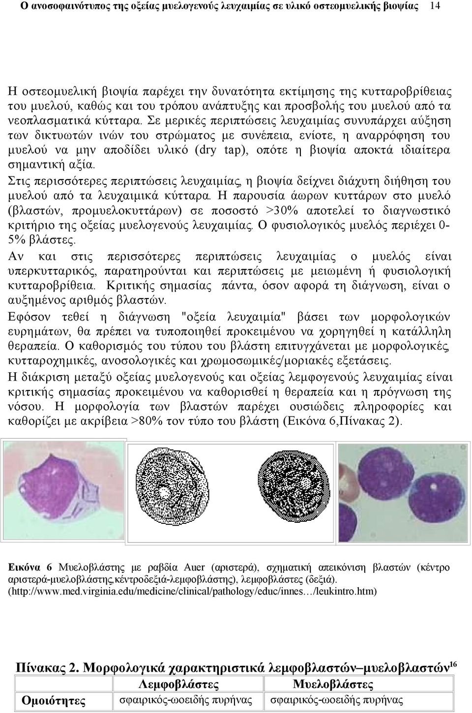 σημαντική αξία. Στις περισσότερες περιπτώσεις λευχαιμίας, η βιοψία δείχνει διάχυτη διήθηση του μυελού από τα λευχαιμικά κύτταρα.