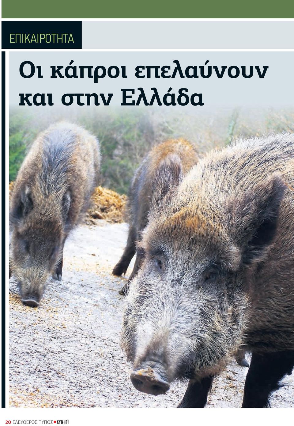 και στην Ελλάδα 20