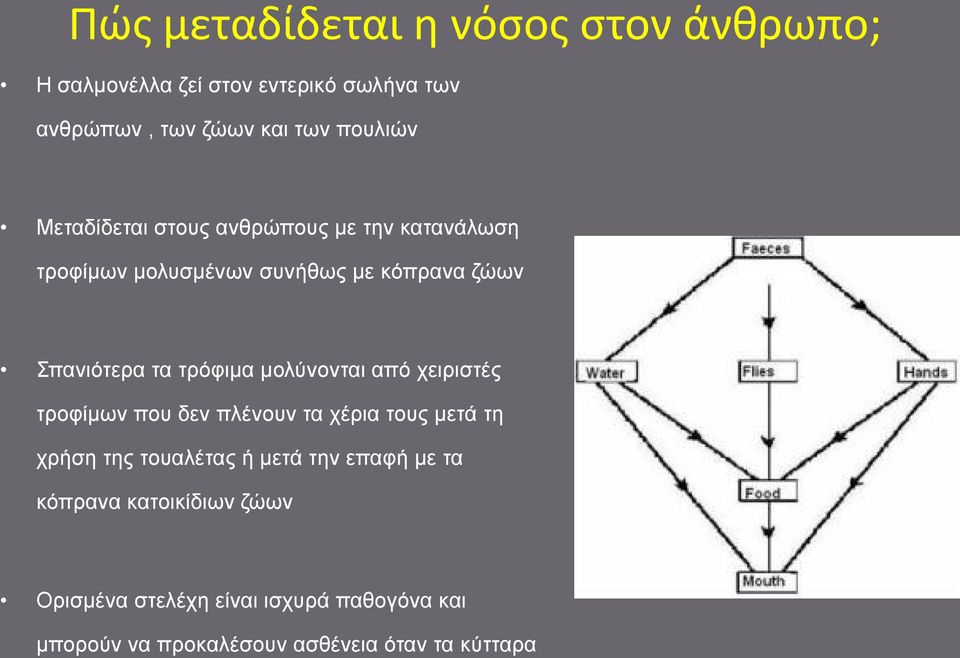 μολύνονται από χειριστές τροφίμων που δεν πλένουν τα χέρια τους μετά τη χρήση της τουαλέτας ή μετά την επαφή με τα